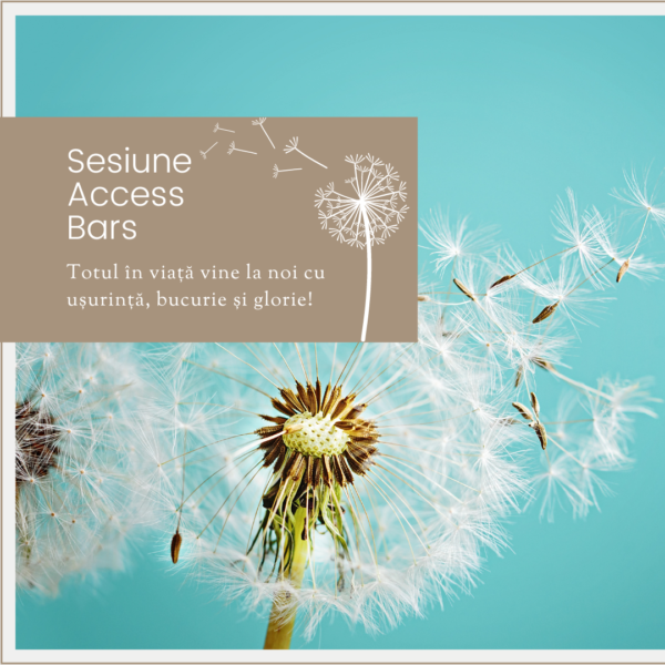 Sesiune individuală de Access Bars